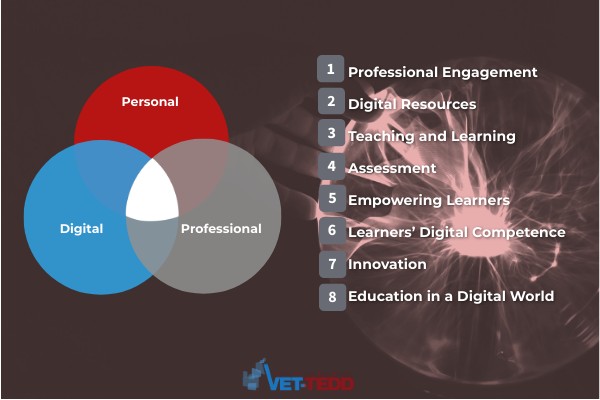 VET-TEDD Competency Framework