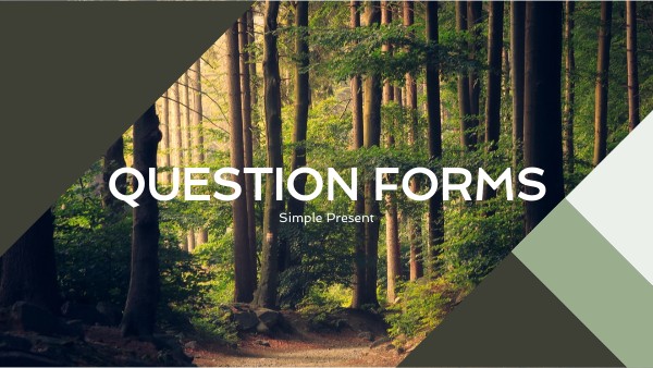 Question forms | Genially