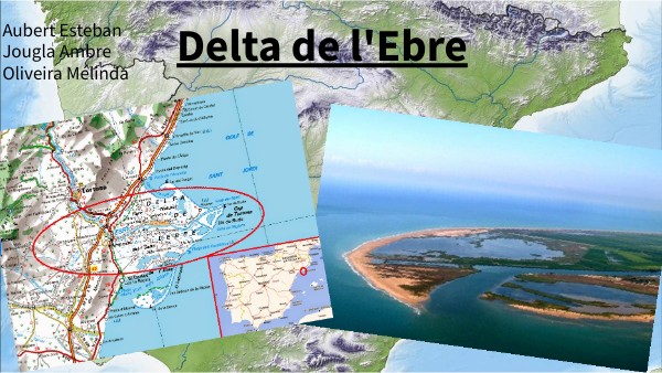 Les Boucles de L'Essor Elite - : Actu Cyclisme Pays-de-la