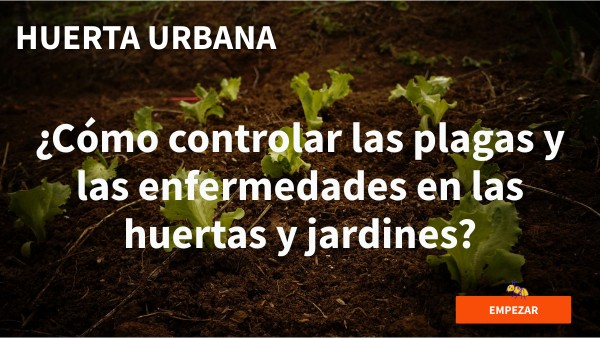Huerta urbana clase 8 | Genially