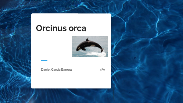 Presentación Orca