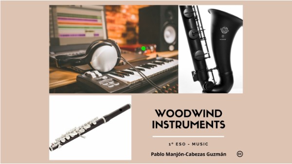 Woodwind instruments