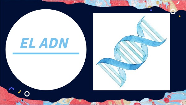 EL ADN