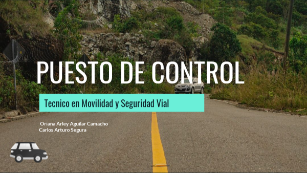 PUESTOS DE CONTROL