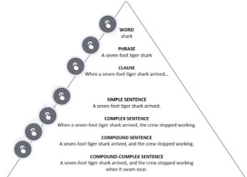 How Sentences Are Built