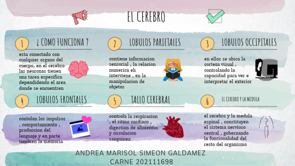 ST VISUAL THINKING | Genially