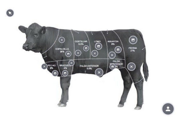 Partes de la vaca | Genially