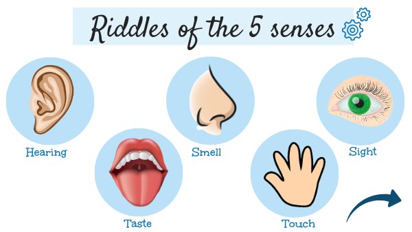 senses