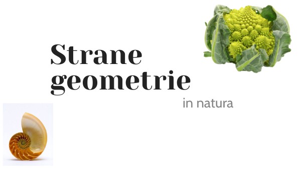 frattali stem 3 e 4 | Genially