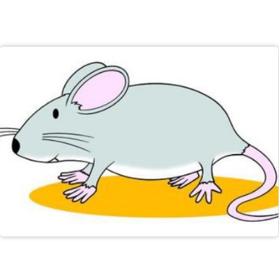 mouse | Genially