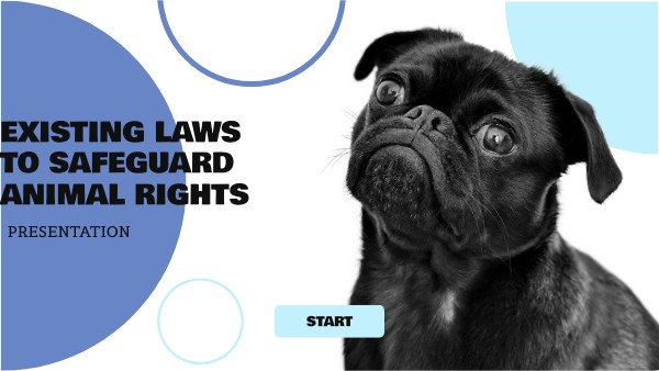 animal rights | Genially