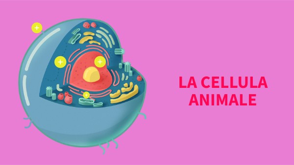 LA CELLULA ANIMALE