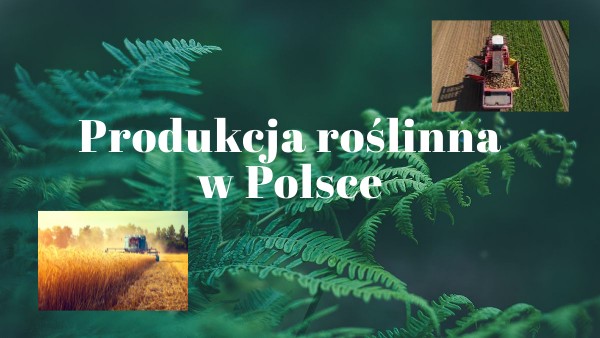 Produkcja roślinna w Polsce | Genially