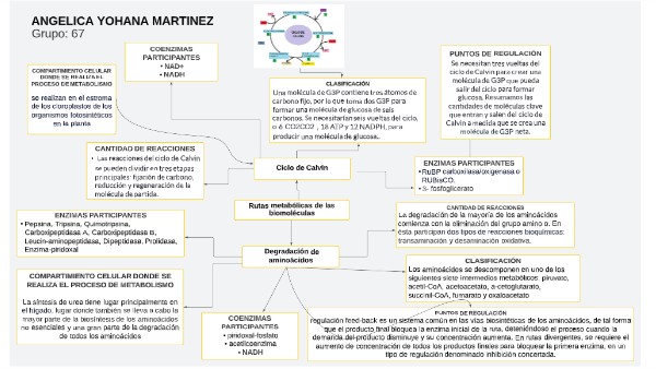 MAPA BÁSICO | Genially