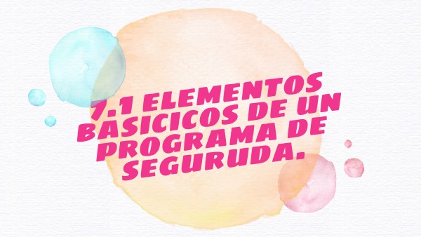 ELEMENTOS BÁSICOS DE UN PROGRAMA DE SEGURIDAD | Genially