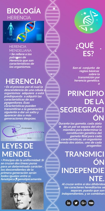 BIOLOGÍA GENIAL VIBRANT