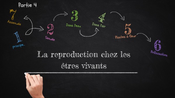 la reproduction | Genially