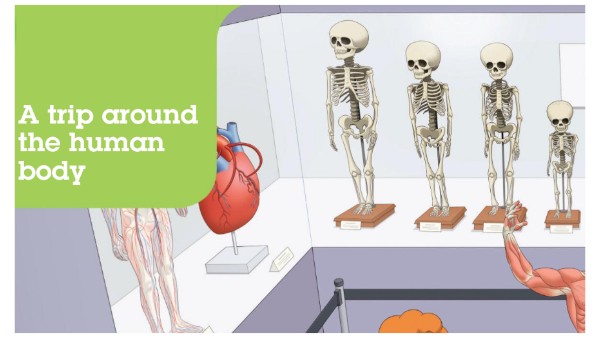 2º EPO CCNNT 3 A TRIP AROUND THE HUMAN BODY | Genially