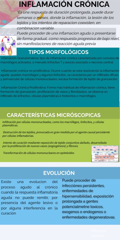 INFO MULTICOLOR | Genially