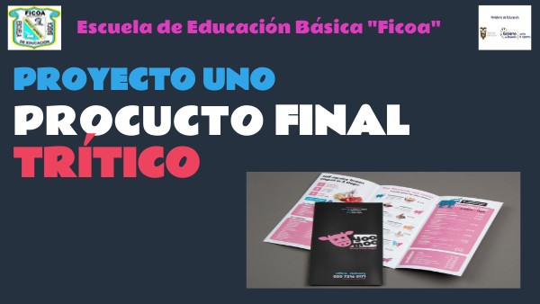 PRODUCCTO FINAL | Genially