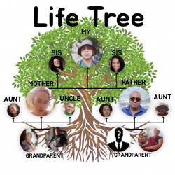 Life Tree