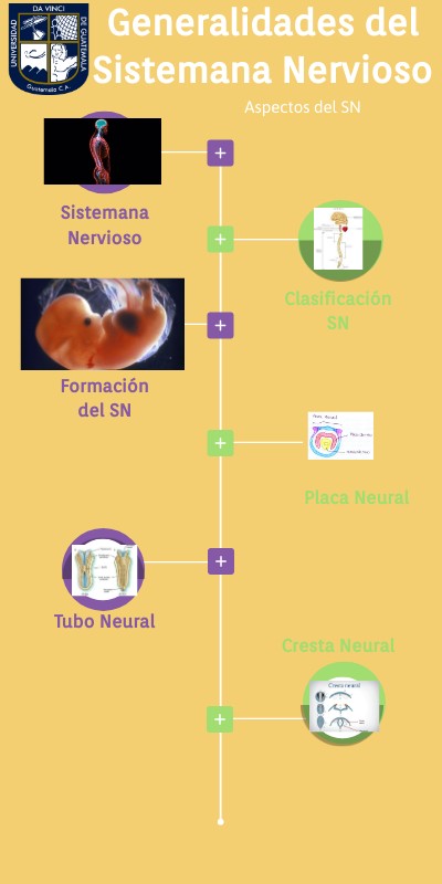 Presentación Grupo 1 | Genially