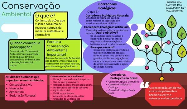 Conservação Ambiental