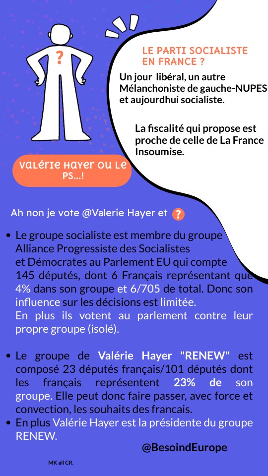 Groupe socialiste VS Renew