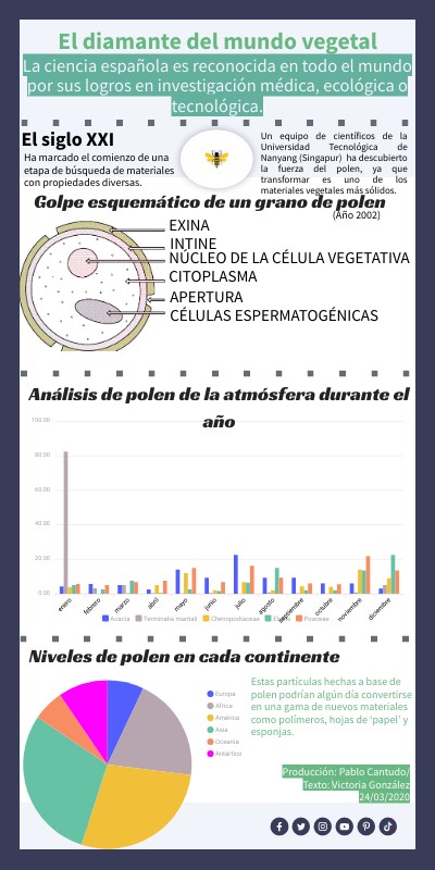 BASIC INFOGRAPHIC | Genially