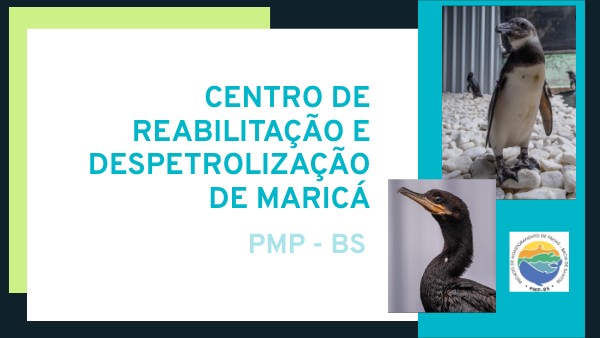 Apresentação pmp | Genially