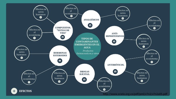 MAPA CONCEPTUAL CIRCULAR