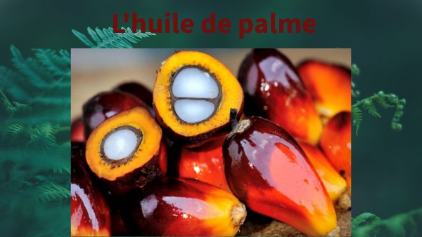 Huile De Palme Mayanga Noire - Soin Cheveux Et Peau - 30ml - Biologique Cameroun