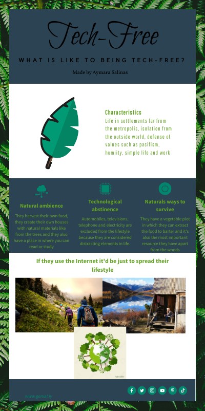 Picture of The Pointlessness of Unplugging - The New Yorker