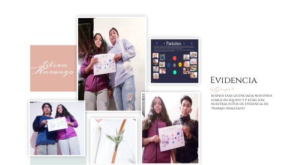 Evidencia | Genially