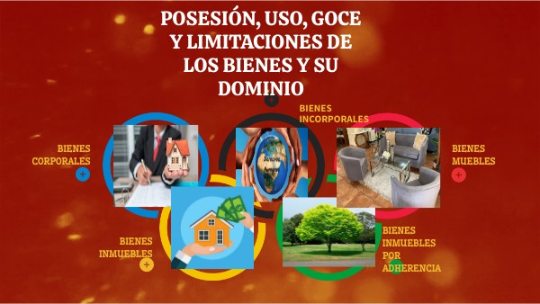 DE LOS BIENES, Y DE SU DOMINIO, POSESIÓN, USO, GOCE Y LIMITACIONES