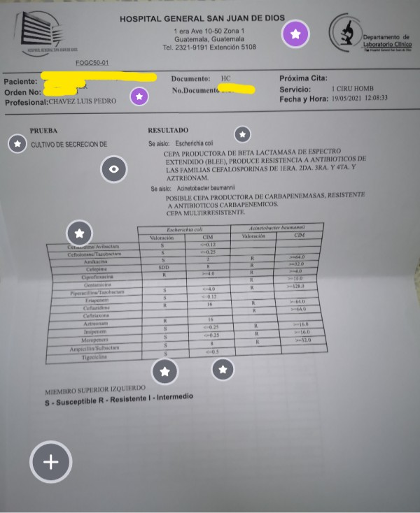 Reporte de microbiología | Genially