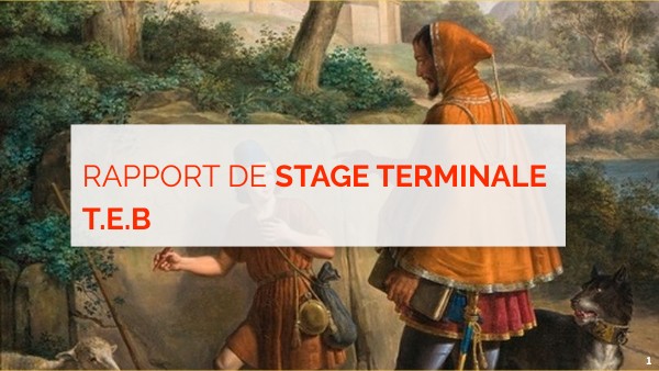 Bonne Copie Rapport Avec Propositions Opérationnelles