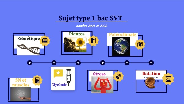 Compilation sujets type 1 BAC | Genially