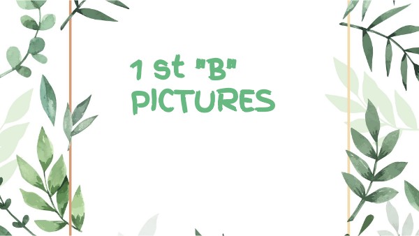 1ST B PICTURES | Genially