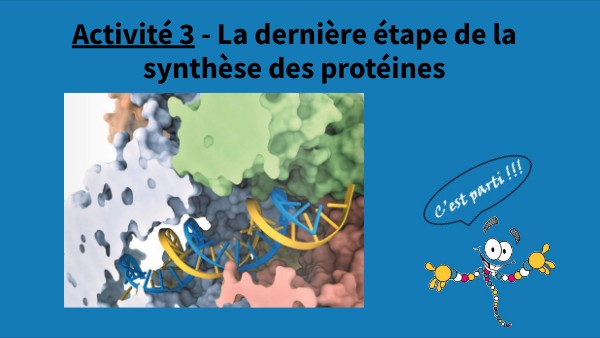 La Synthèse Des Protéines view.genially.com