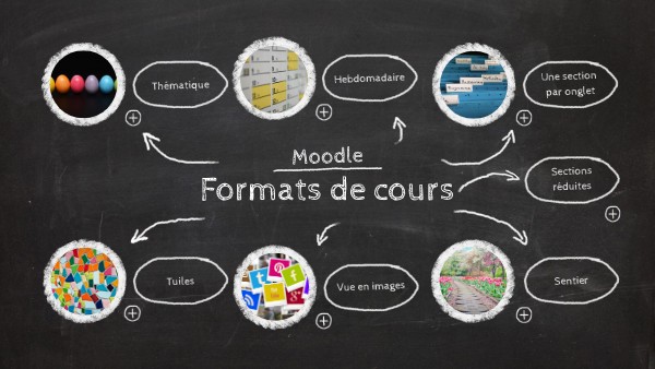 CAT GORIES DE COURS visual data 8
