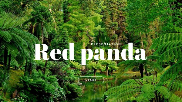 RED PANDA PRESENTATION