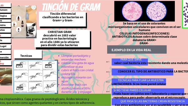 LA TINCIÓN DE GRAM | Genially