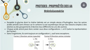 2027 Protides : Propriétés des AA | Genially