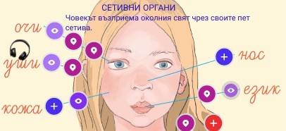 Сетивни органи | Genially
