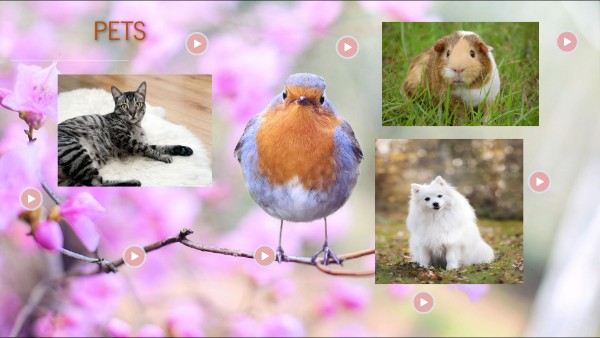 PETS