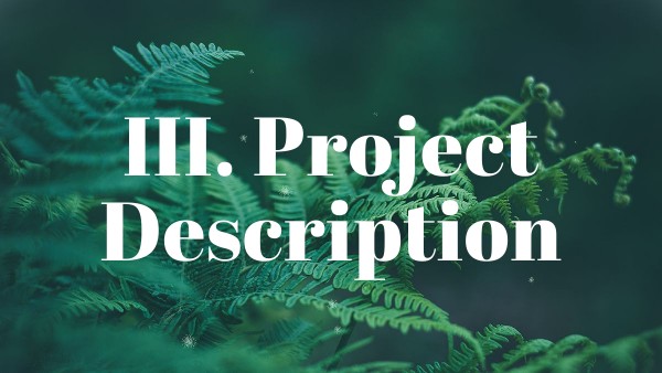 Project Description