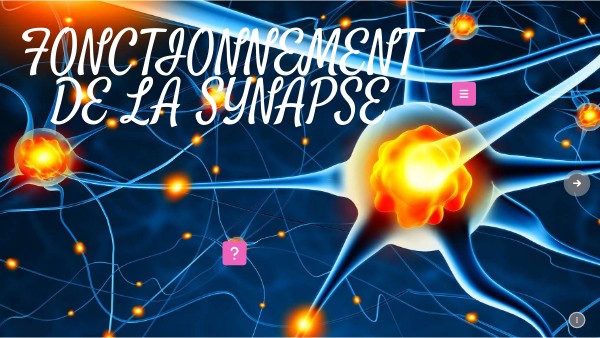 Fonctionnement de la synapse