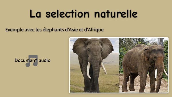 Biologie - La selection naturelle