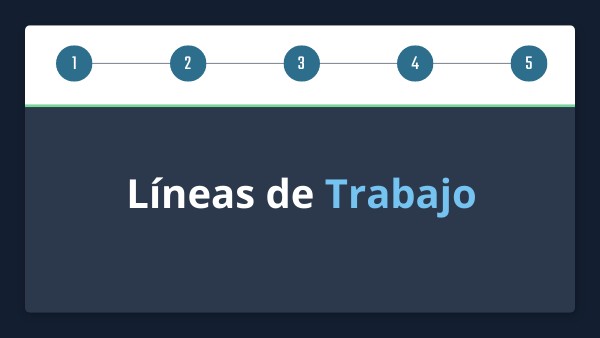 Líneas de Trabajo